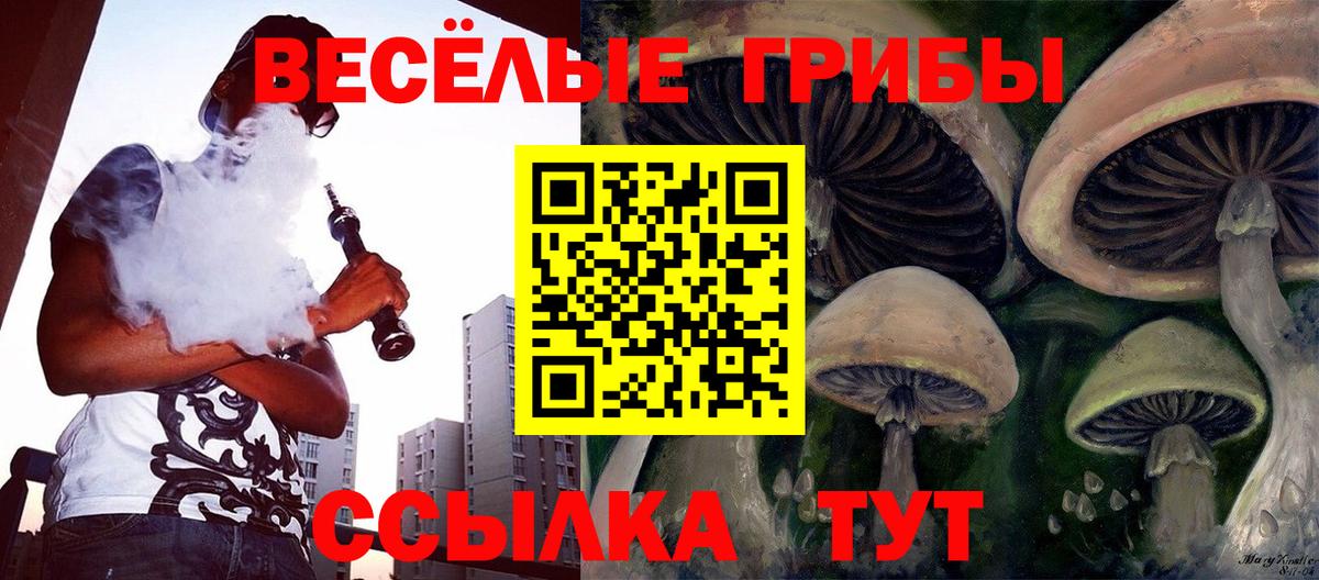 Псилоцибиновые грибы GOLDEN TEACHER  Вход с VPN  Темрюк  Псилоцибиновые грибы GOLDEN TEACHER 