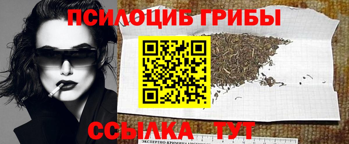 Галлюциногенные грибы Cubensis Темрюк